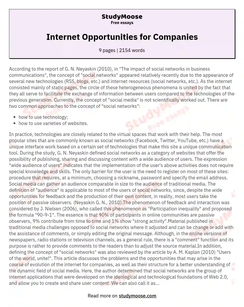 Internet Opportunities for Companies essay