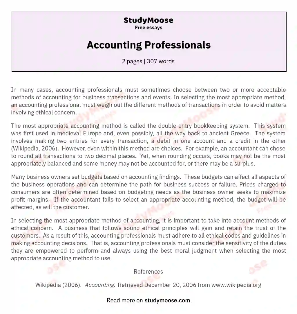 Accounting Professionals essay