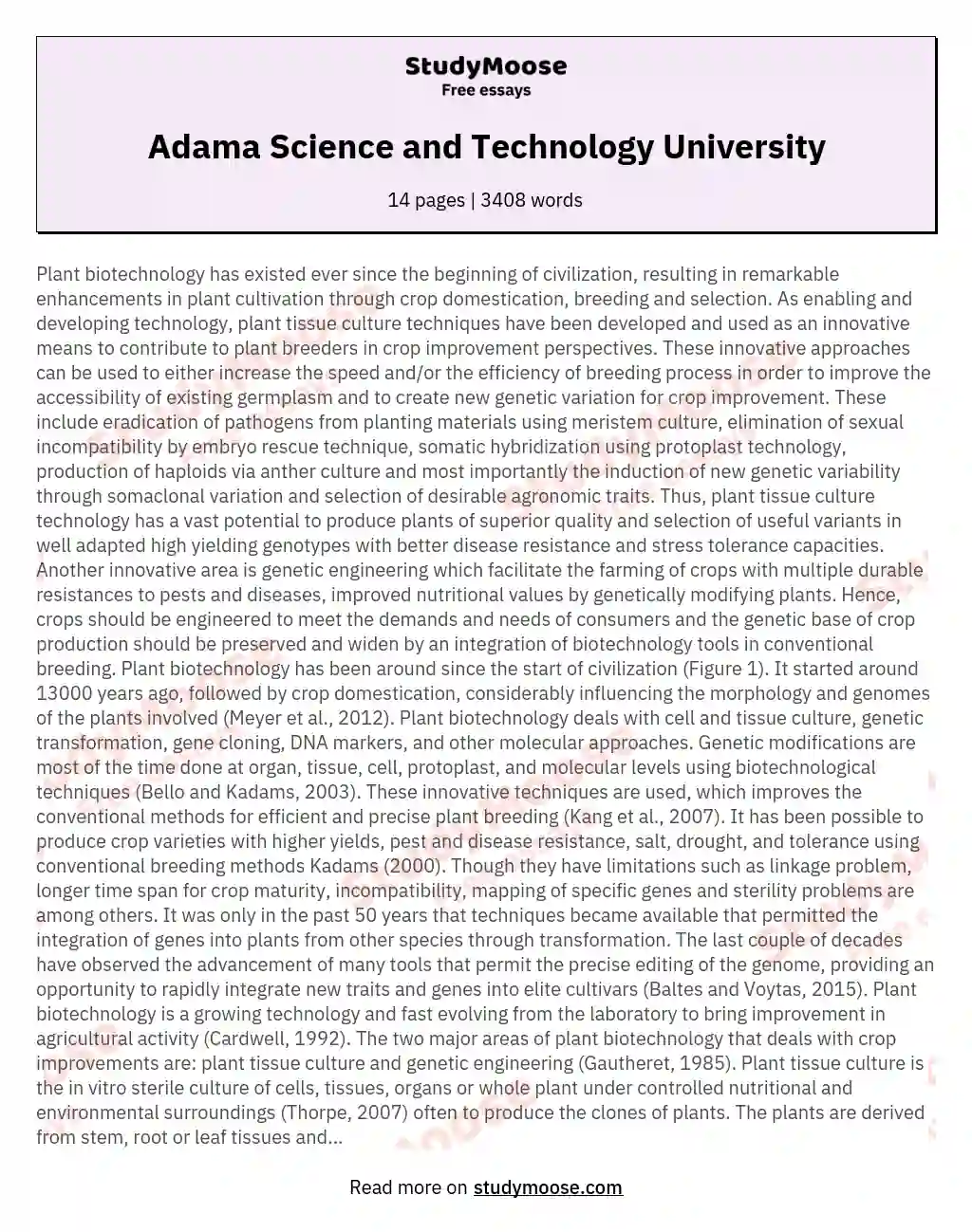 Adama Science and Technology University essay