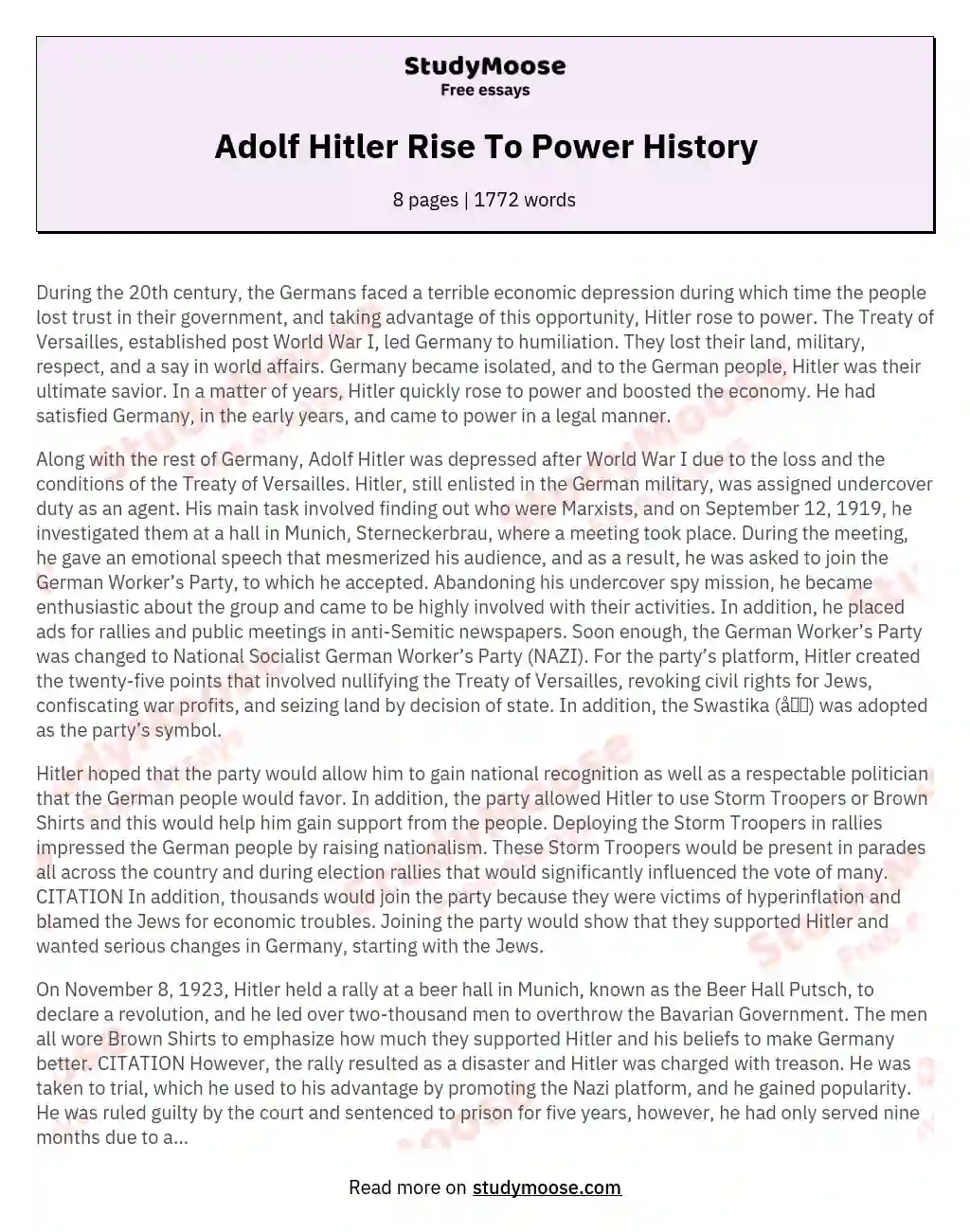 Adolf Hitler Rise To Power History essay
