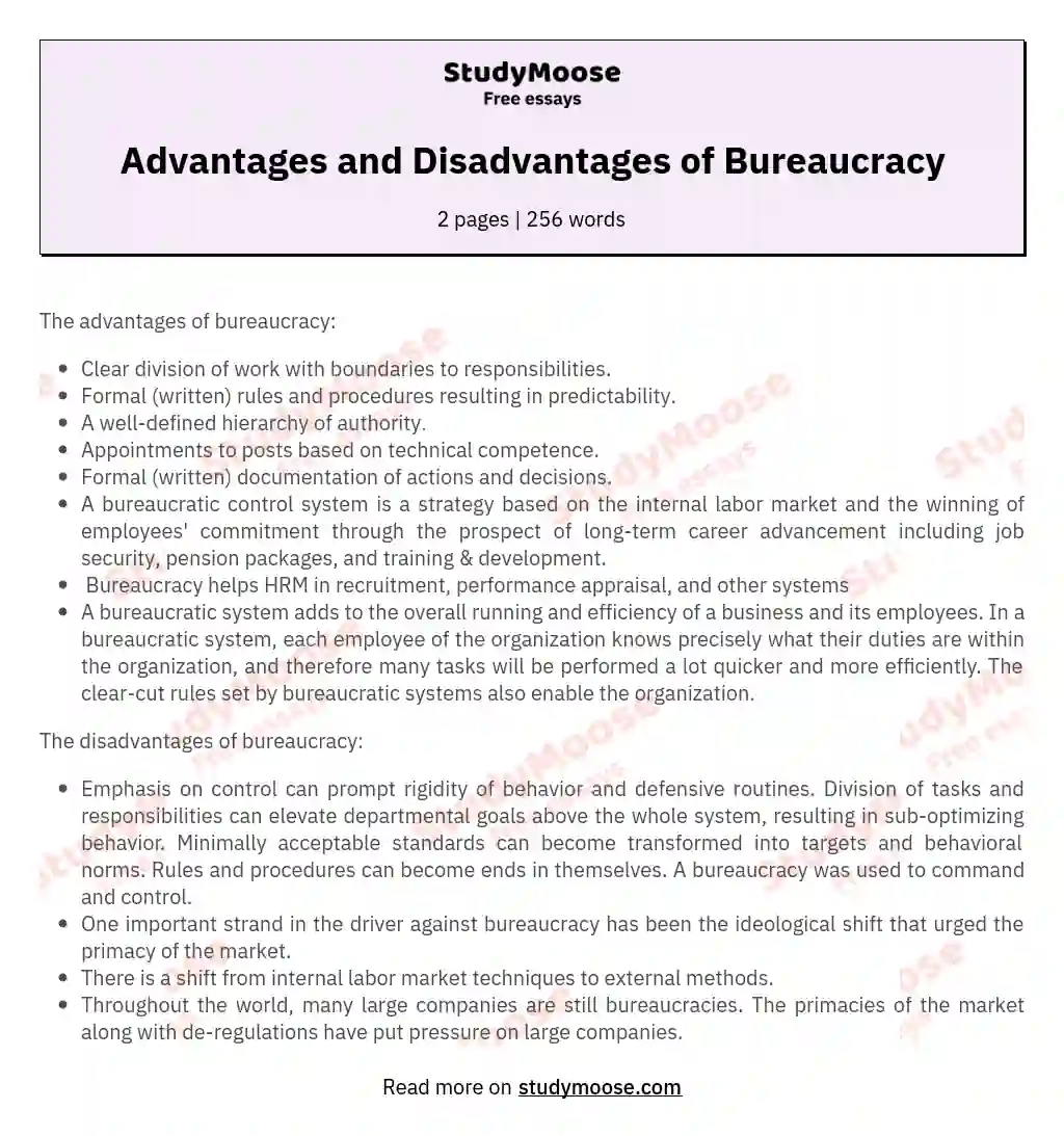 Advantages and Disadvantages of Bureaucracy essay