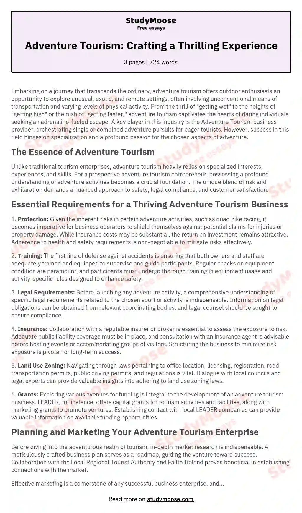 Adventure Tourism: Crafting a Thrilling Experience essay
