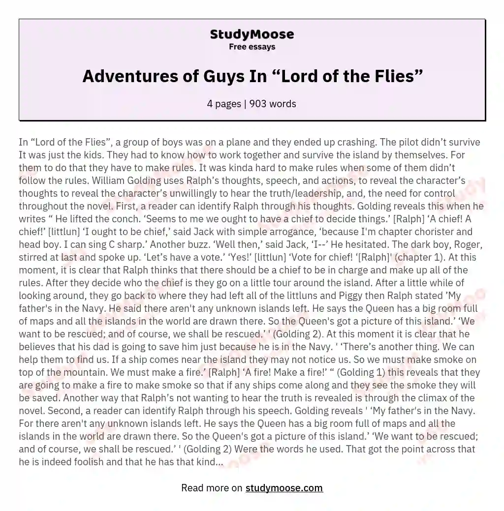 Adventures of Guys In “Lord of the Flies” essay