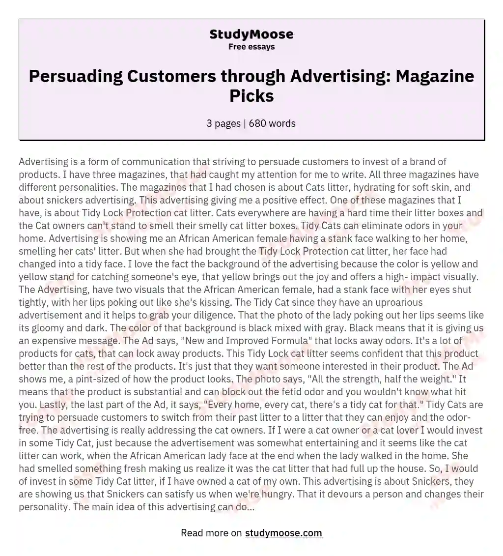 Persuading Customers through Advertising: Magazine Picks essay