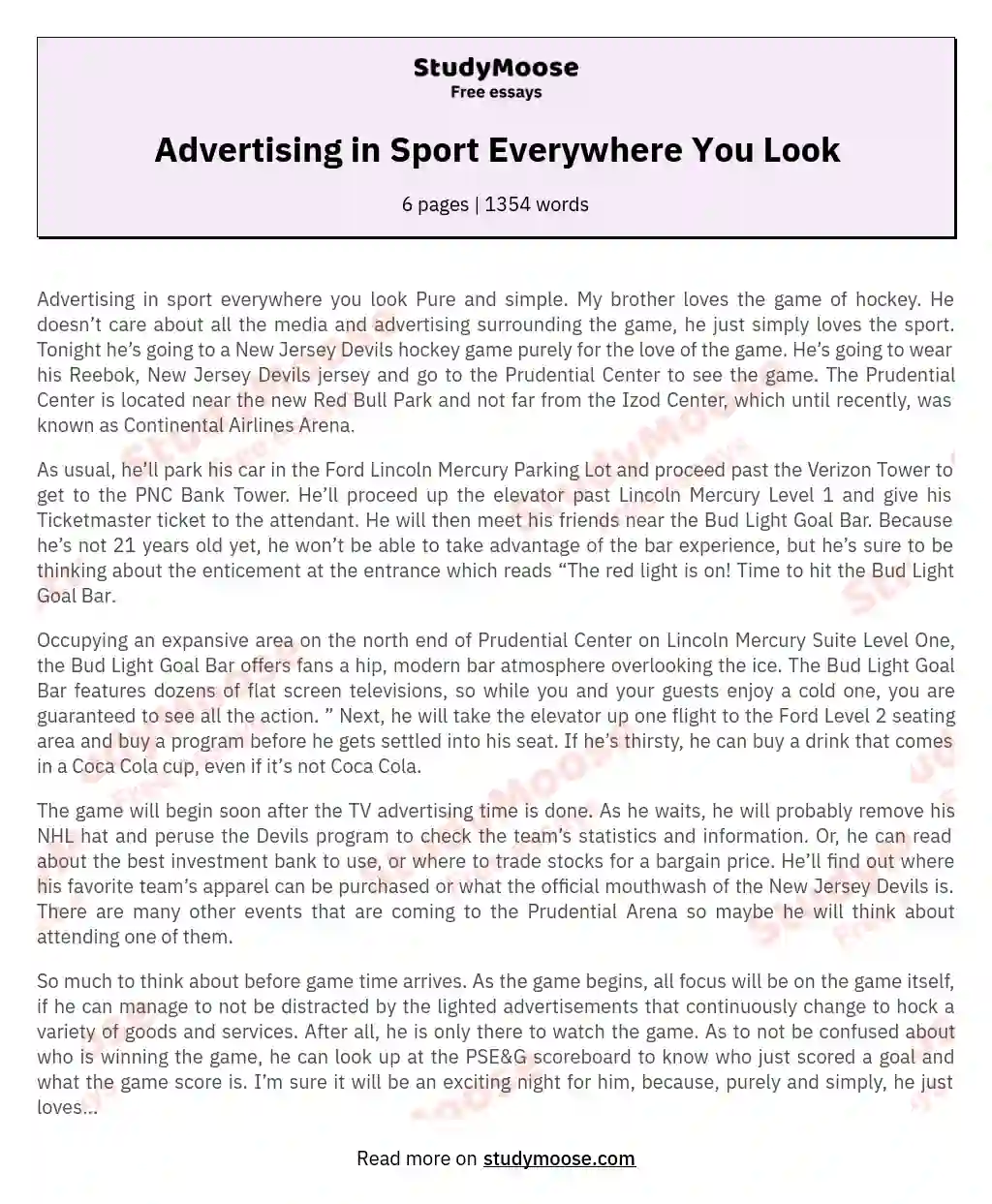Advertising in Sport Everywhere You Look essay