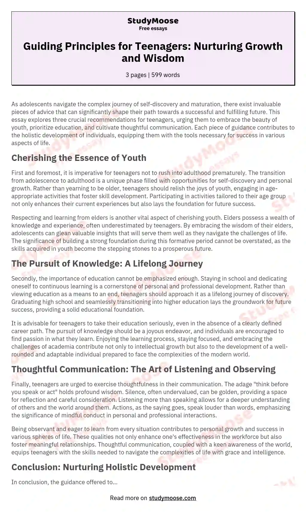 Guiding Principles for Teenagers: Nurturing Growth and Wisdom essay