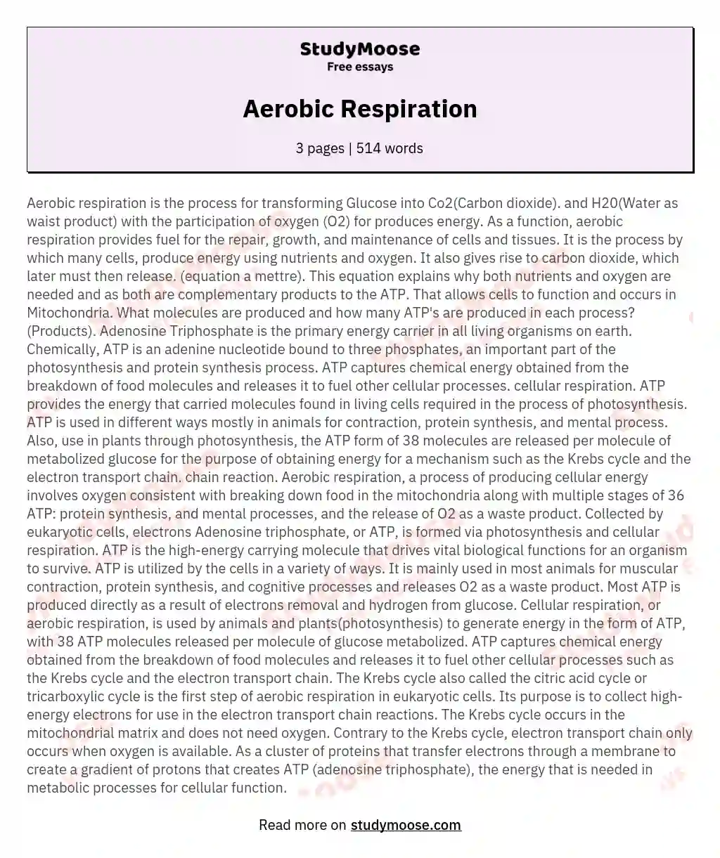 Aerobic Respiration essay