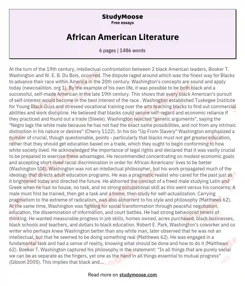 African American Literature essay