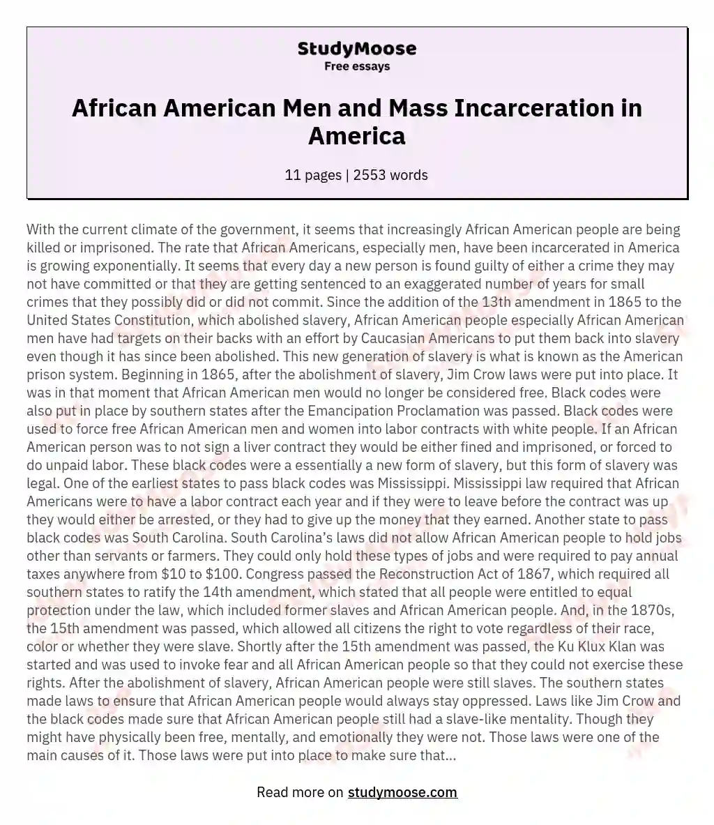 African American Men and Mass Incarceration in America essay