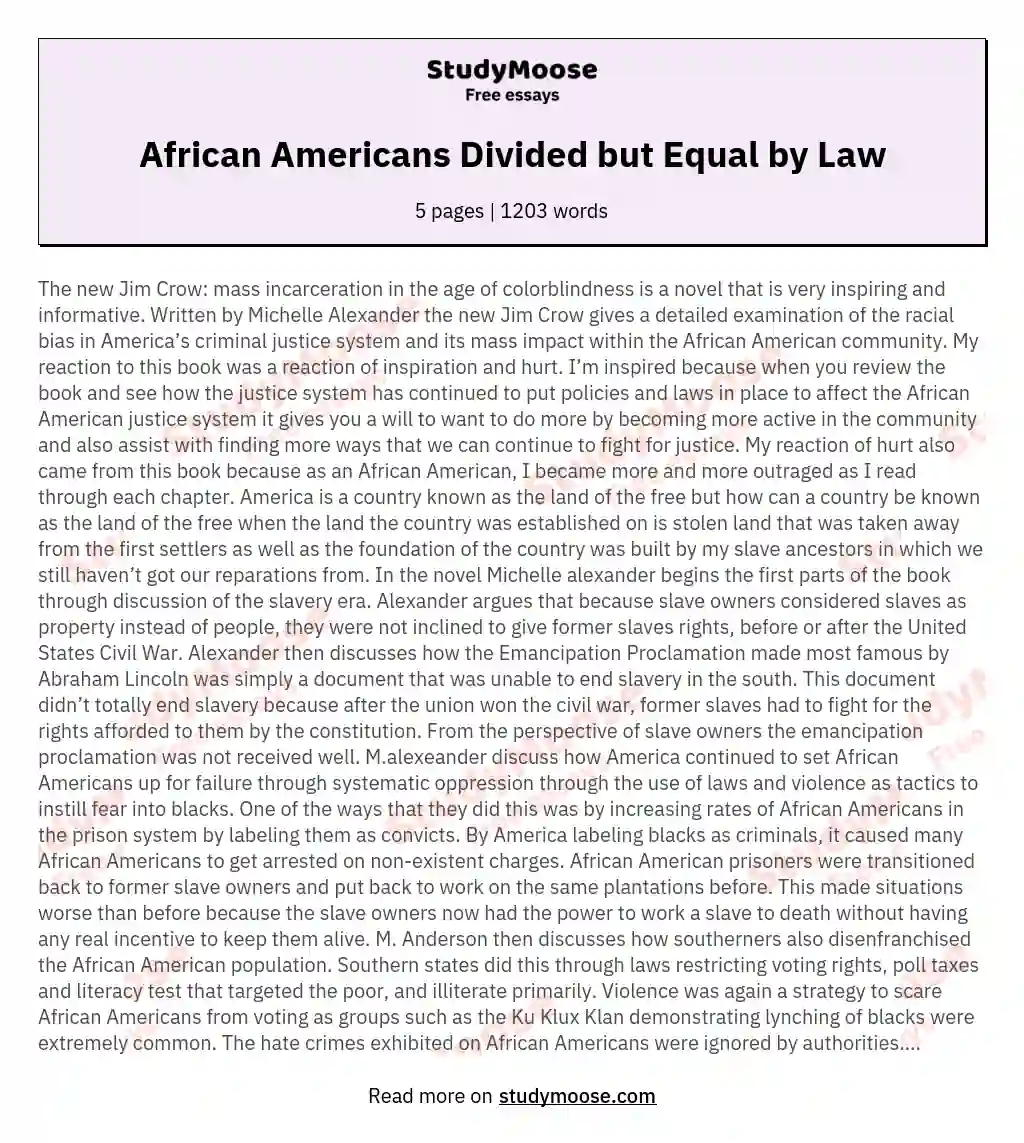African Americans Divided but Equal by Law essay