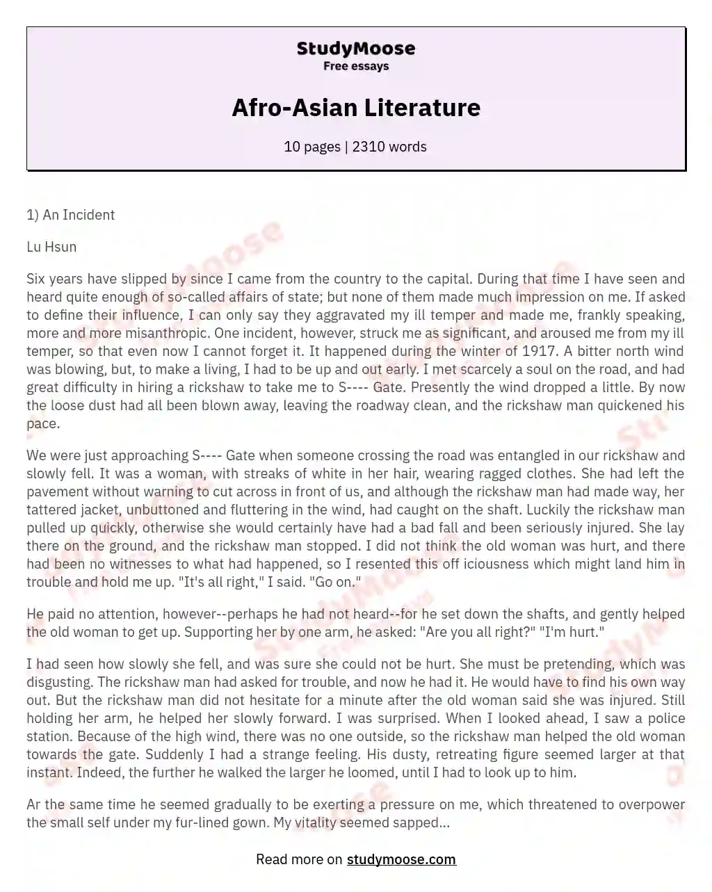 Afro-Asian Literature essay