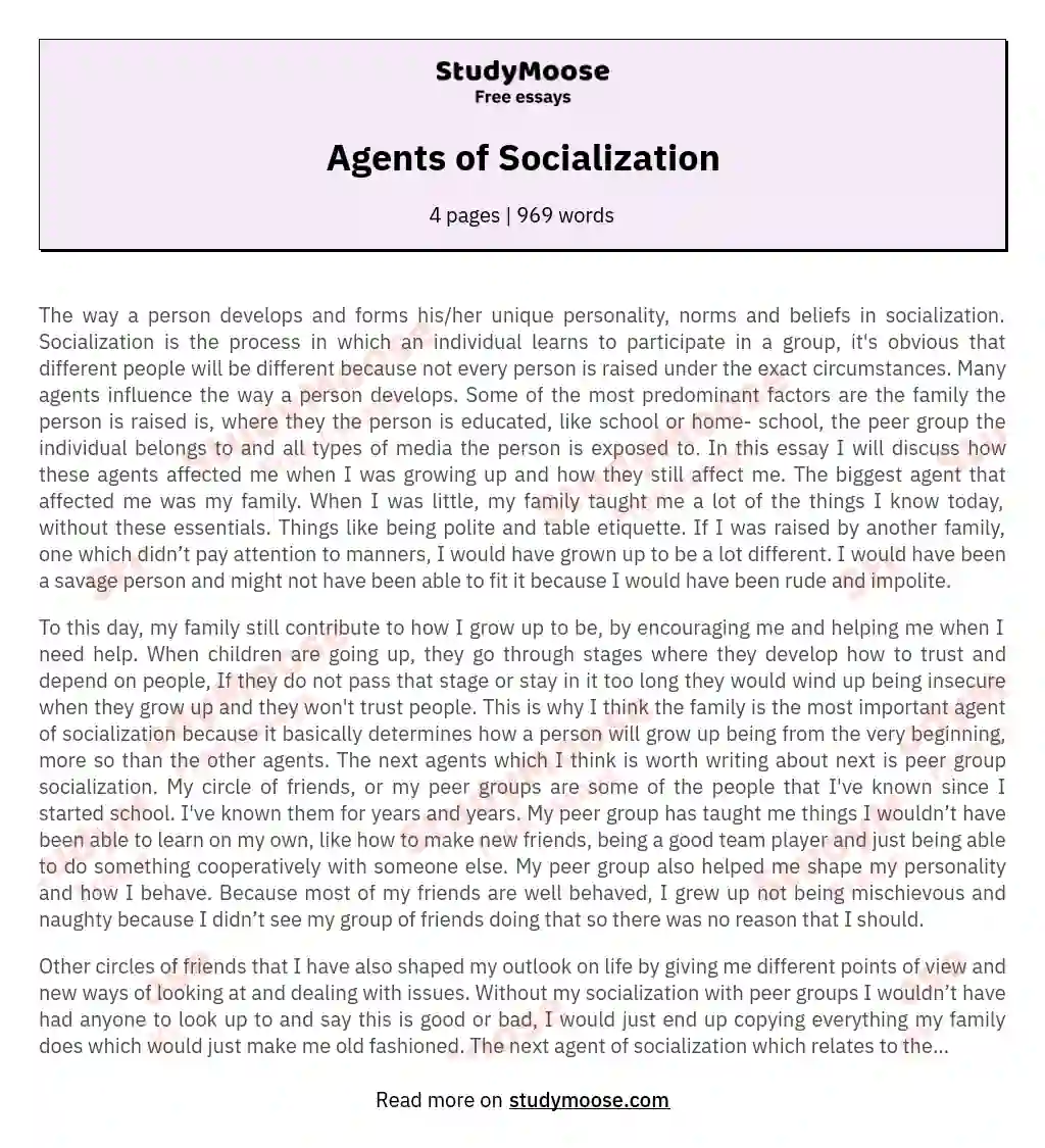agents of socialisation