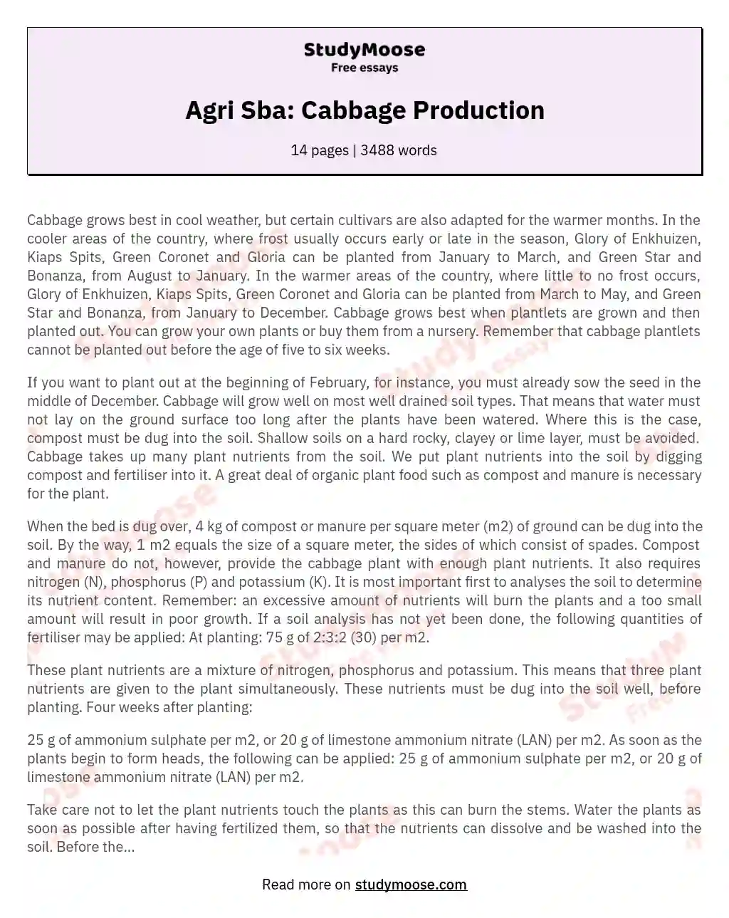 Agri Sba: Cabbage Production essay