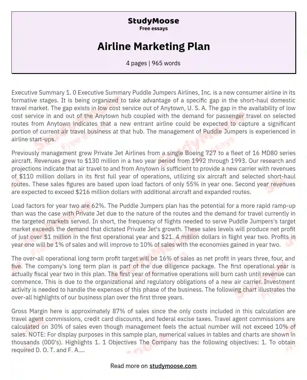 Airline Marketing Plan essay