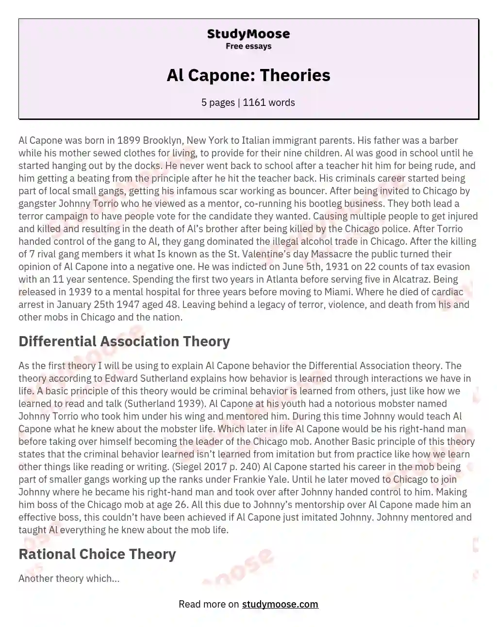 Al Capone: Theories essay