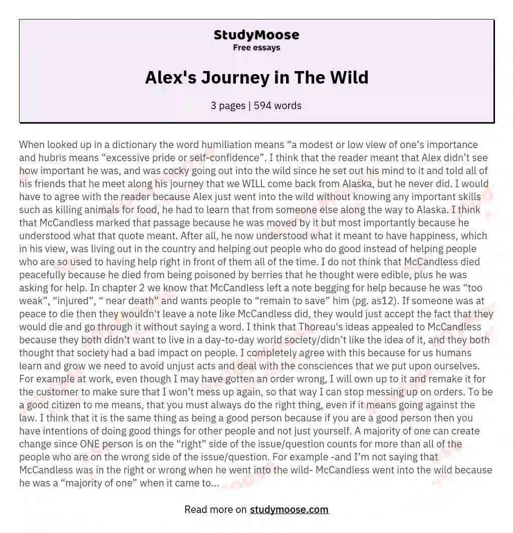 Alex's Journey in The Wild essay