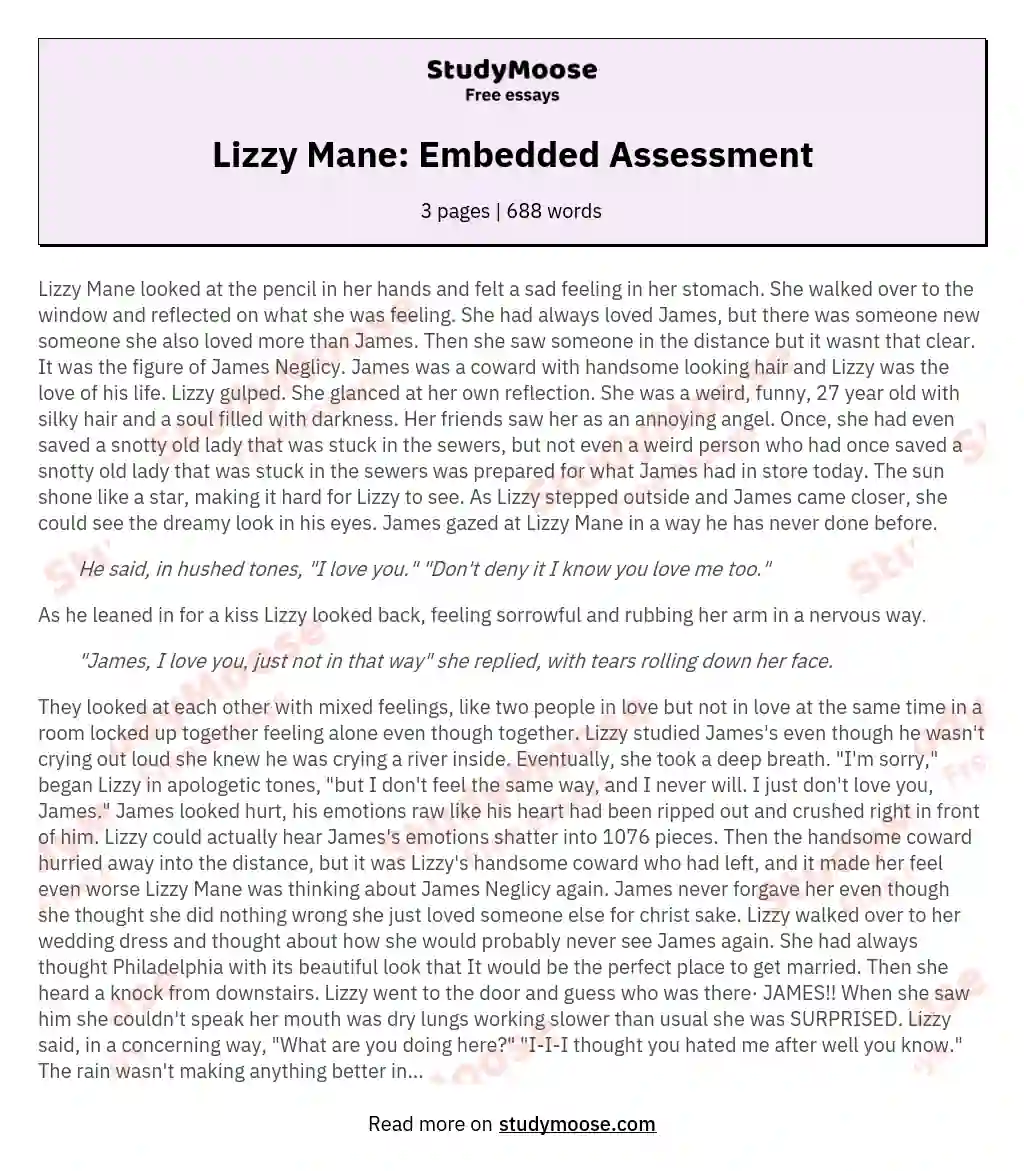 Lizzy Mane: Embedded Assessment essay