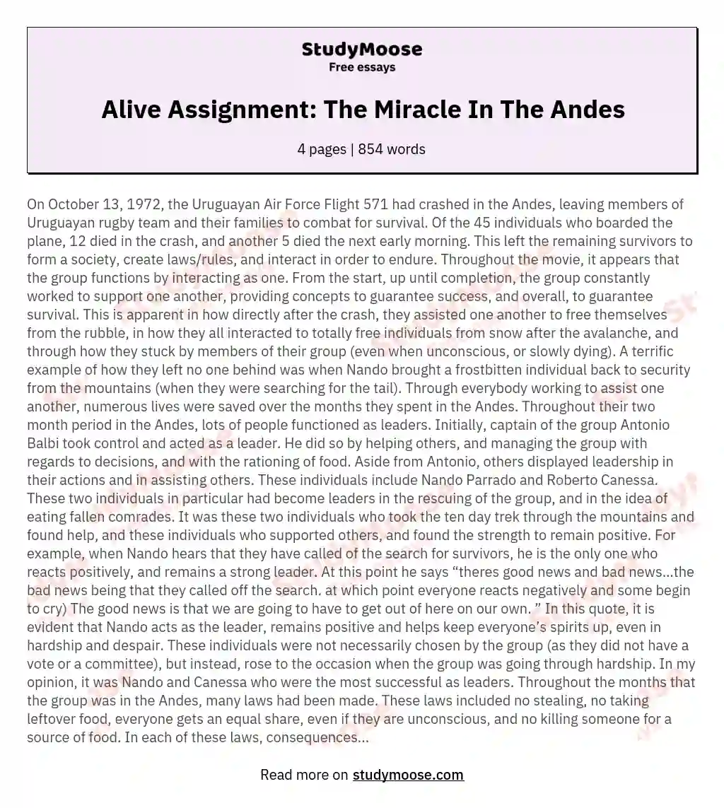 Alive Assignment: The Miracle In The Andes essay