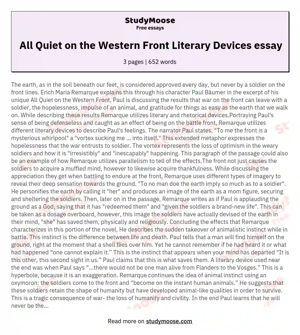 All Quiet on the Western Front Literary Devices essay