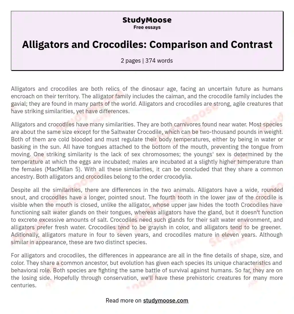 Alligators and Crocodiles: Comparison and Contrast essay