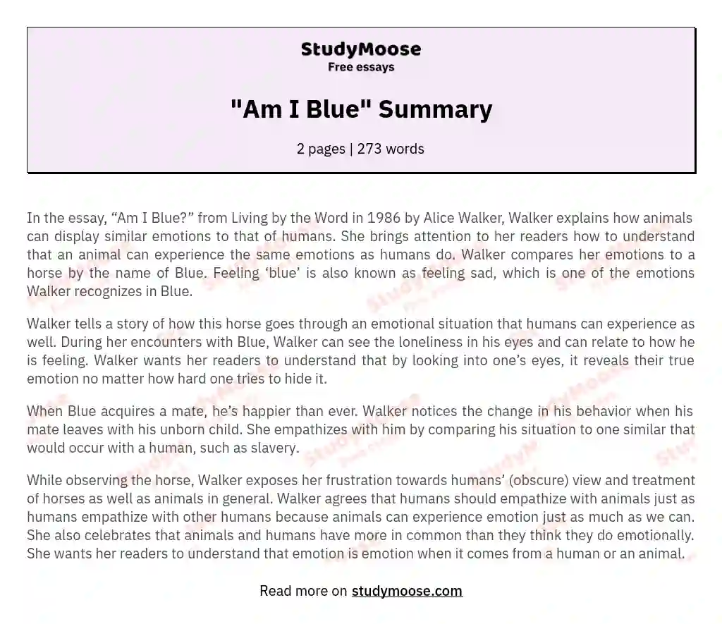 "Am I Blue" Summary essay