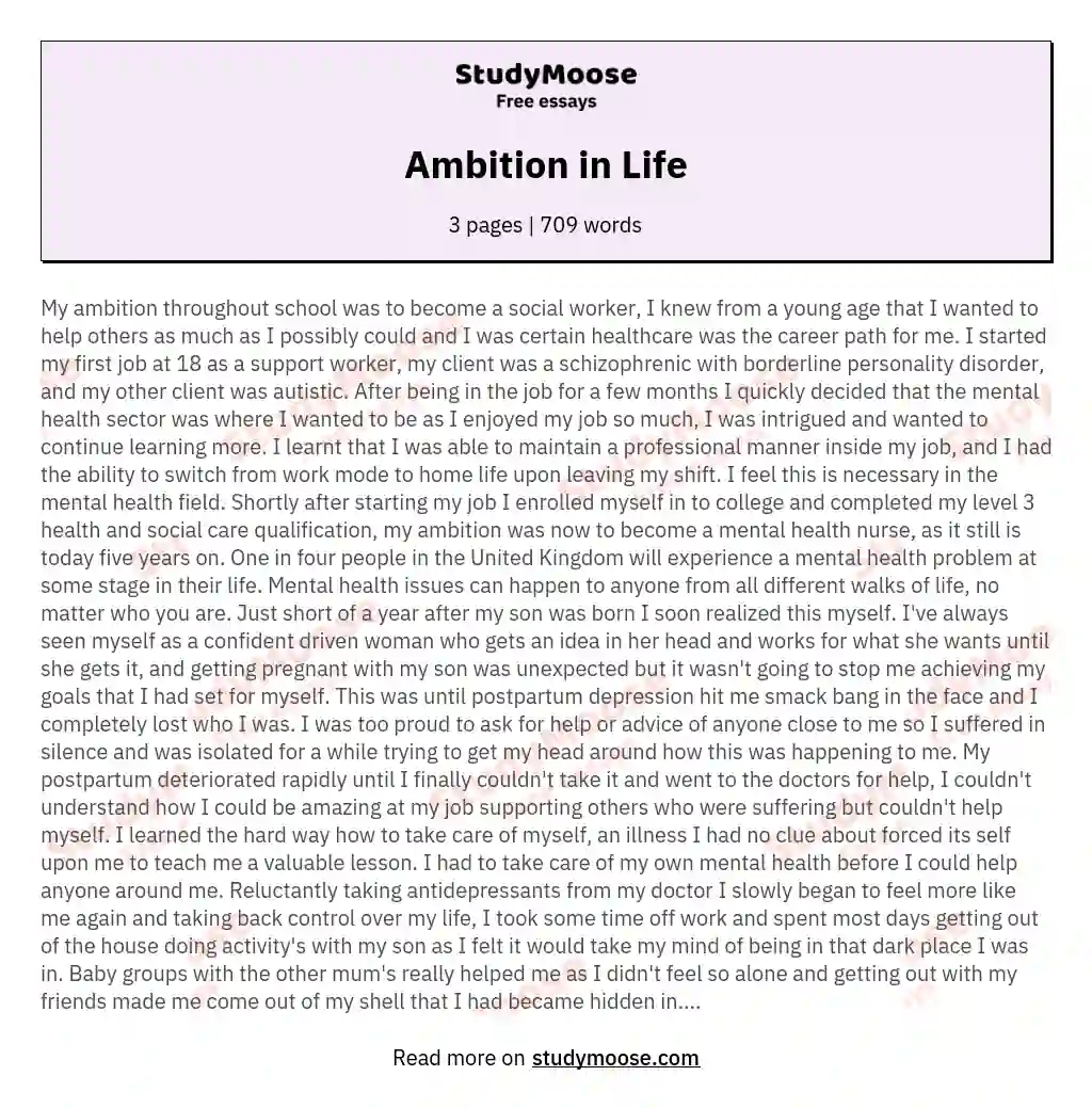 my ambition in life essay 300 words pdf