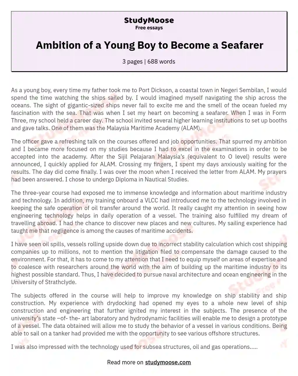 Ambition of a Young Boy to Become a Seafarer essay