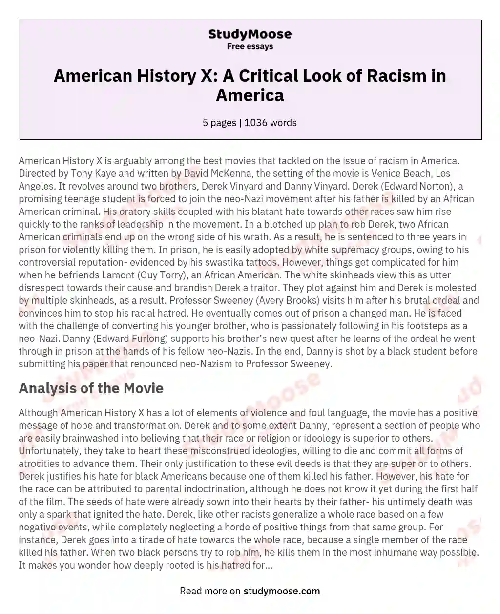 American History X: A Critical Look of Racism in America essay