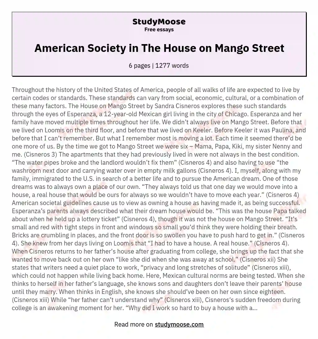 American Society in The House on Mango Street essay