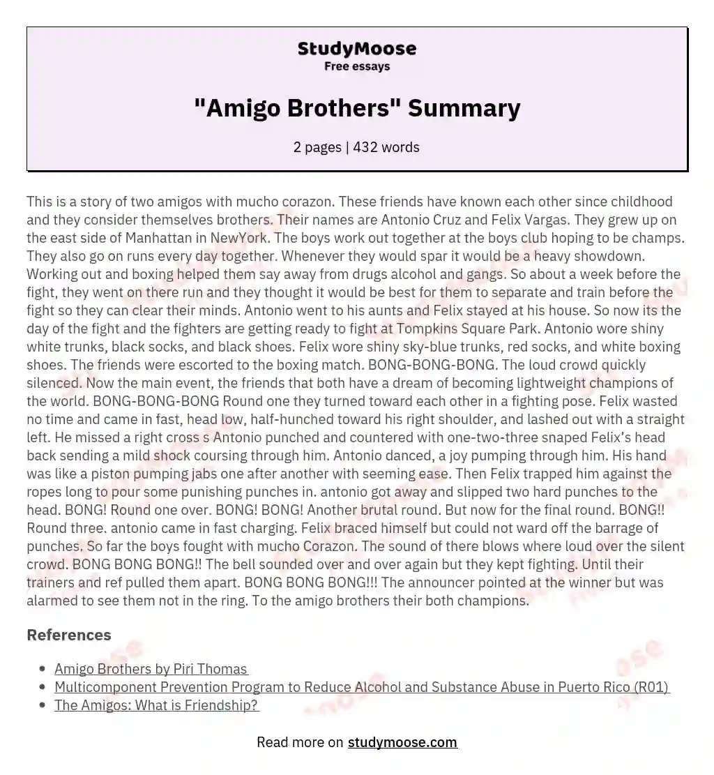 "Amigo Brothers" Summary essay