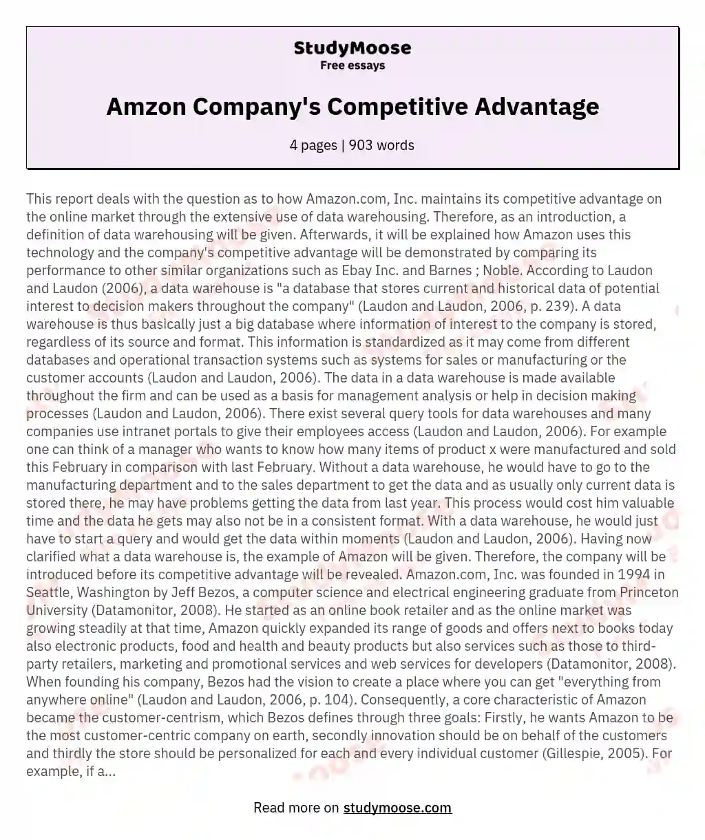 Amzon Company's Competitive Advantage essay