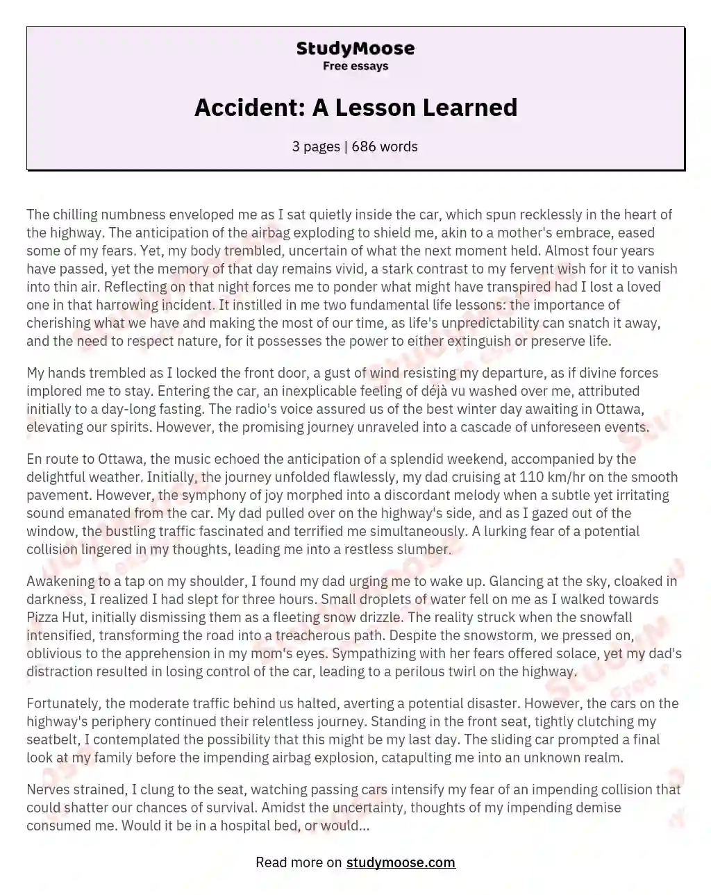 Accident A Lesson Learned Free Essay Example