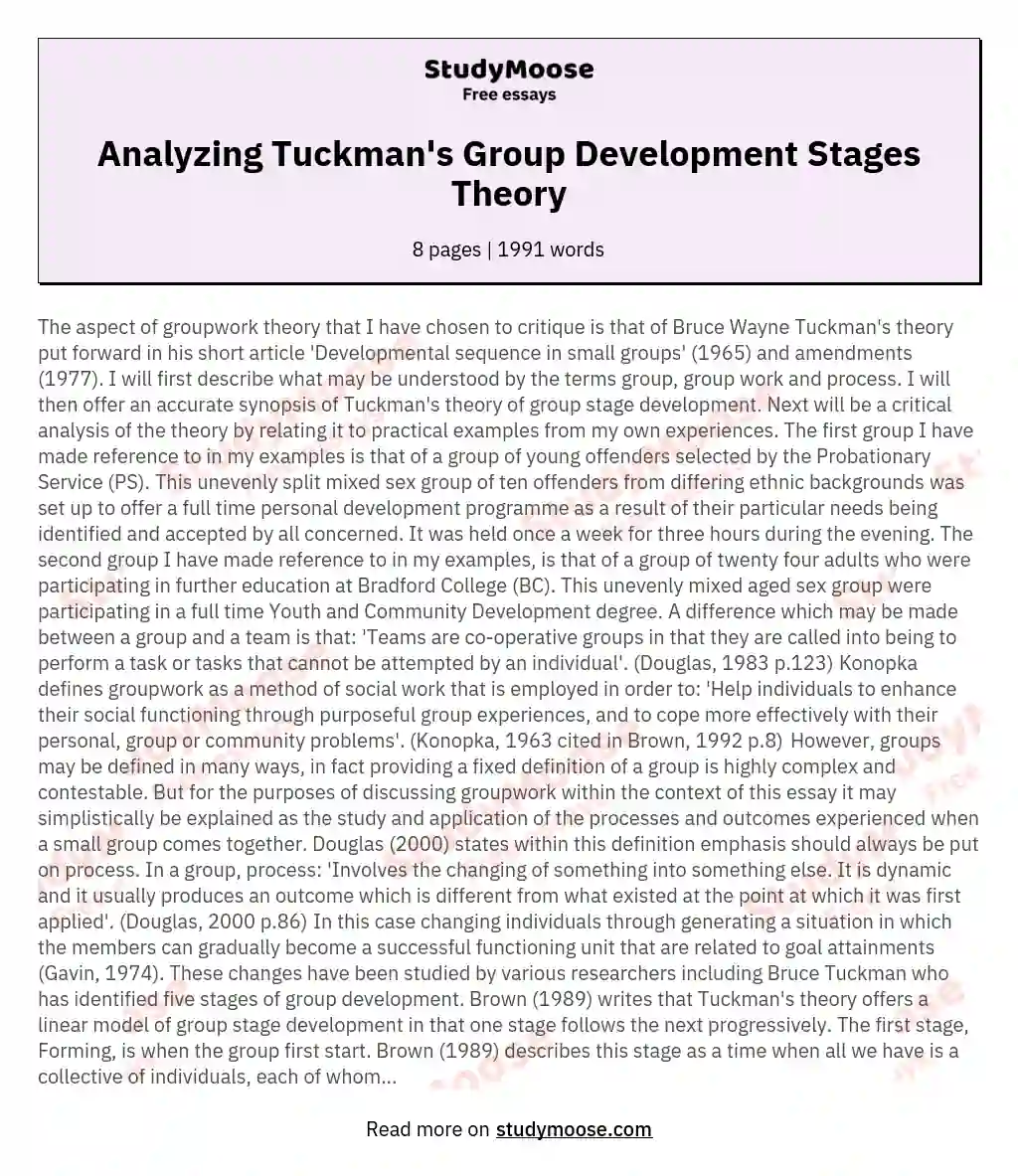 Analyzing Tuckman's Group Development Stages Theory essay