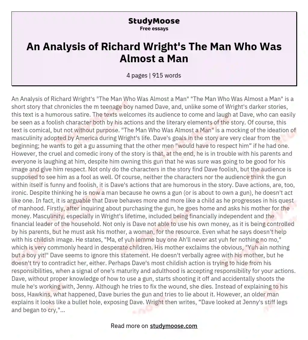 An Analysis of Richard Wright's The Man Who Was Almost a Man essay