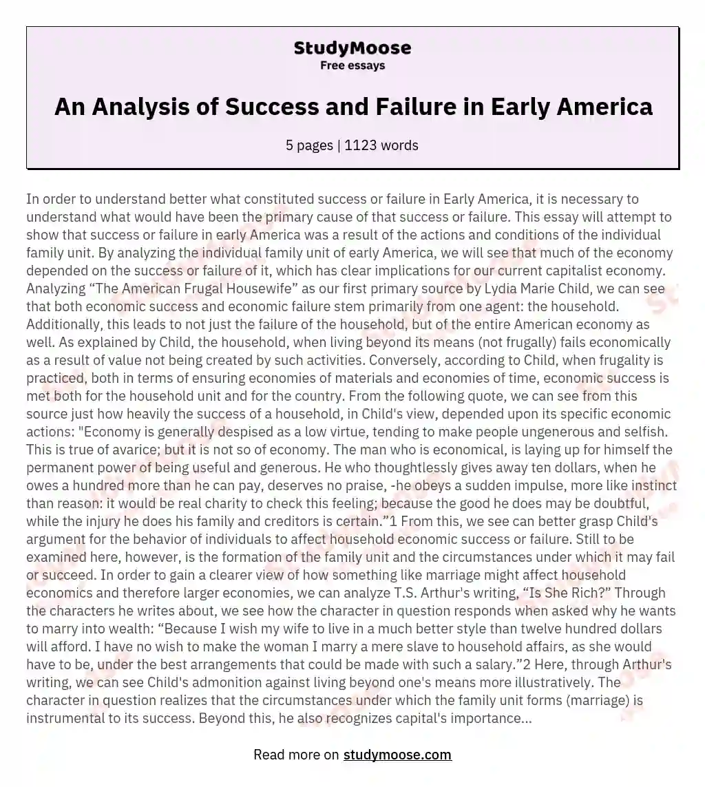 An Analysis of Success and Failure in Early America essay