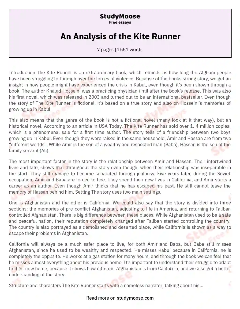 An Analysis of the Kite Runner essay