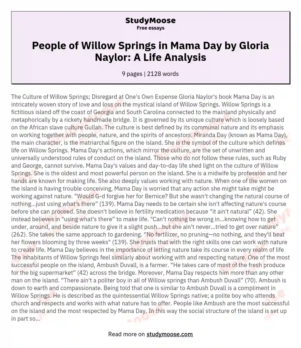 People of Willow Springs in Mama Day by Gloria Naylor: A Life Analysis essay