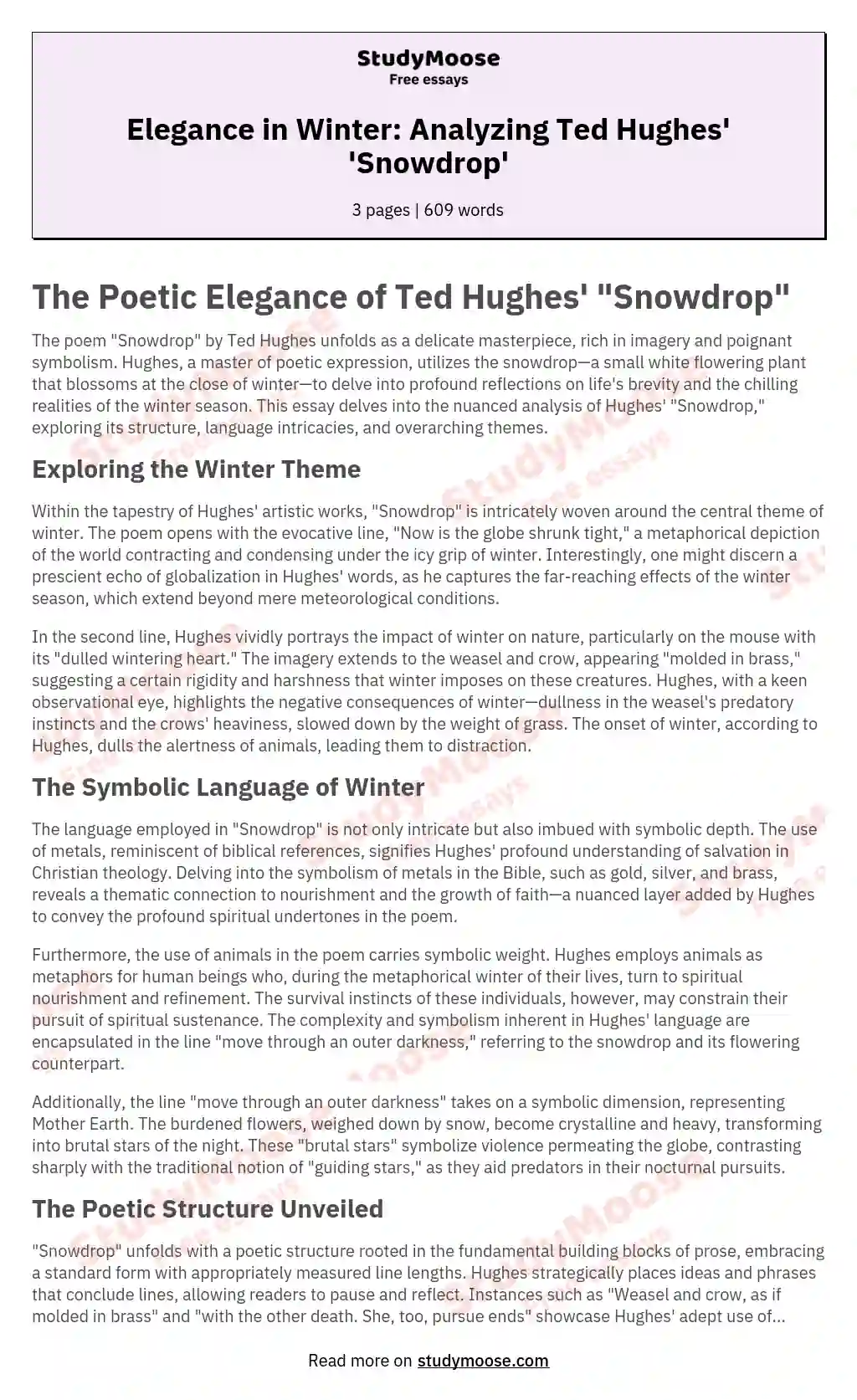 Elegance in Winter: Analyzing Ted Hughes' 'Snowdrop' essay