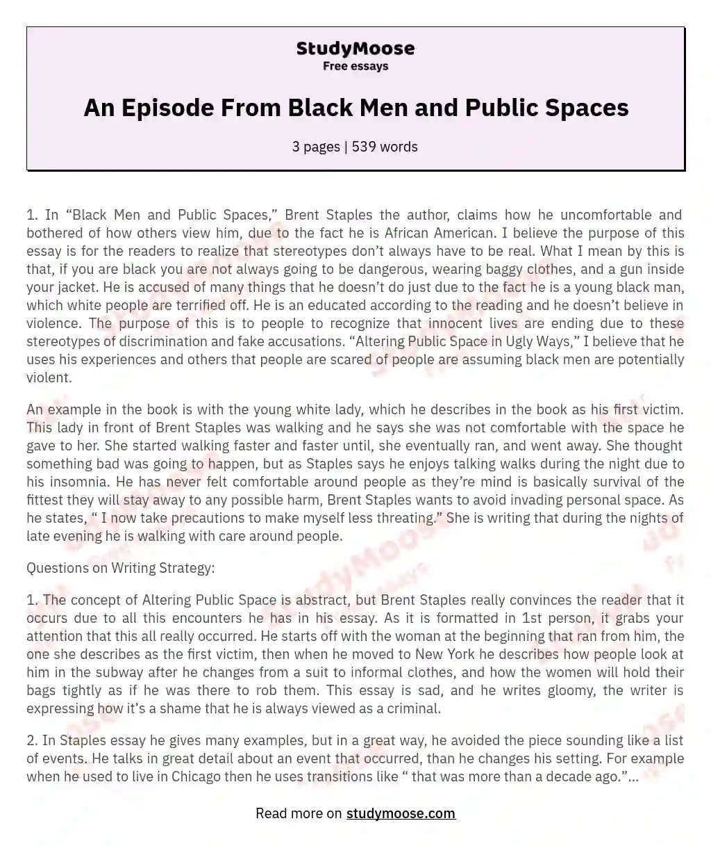 An Episode From Black Men and Public Spaces