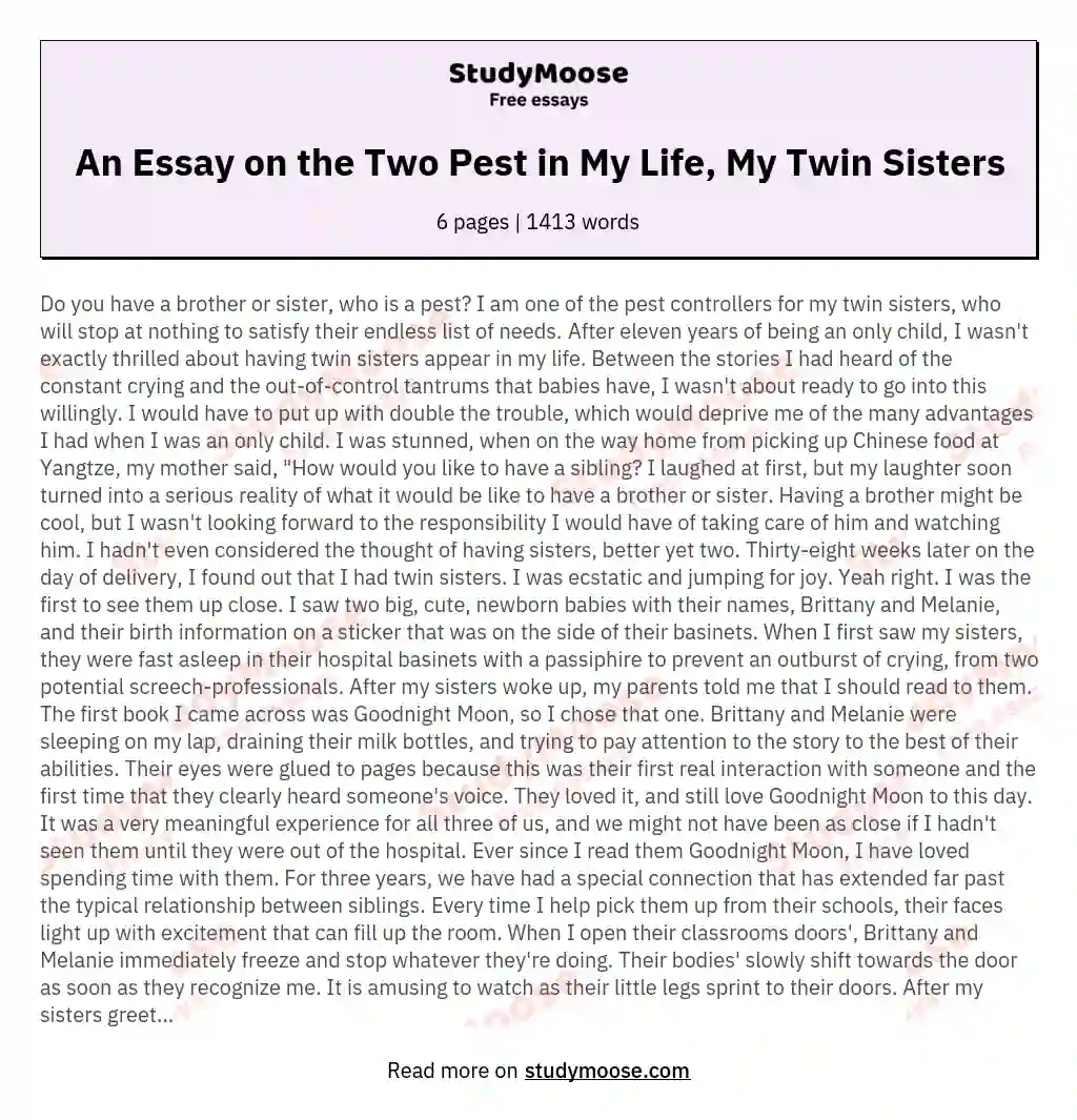 An Essay on the Two Pest in My Life, My Twin Sisters essay