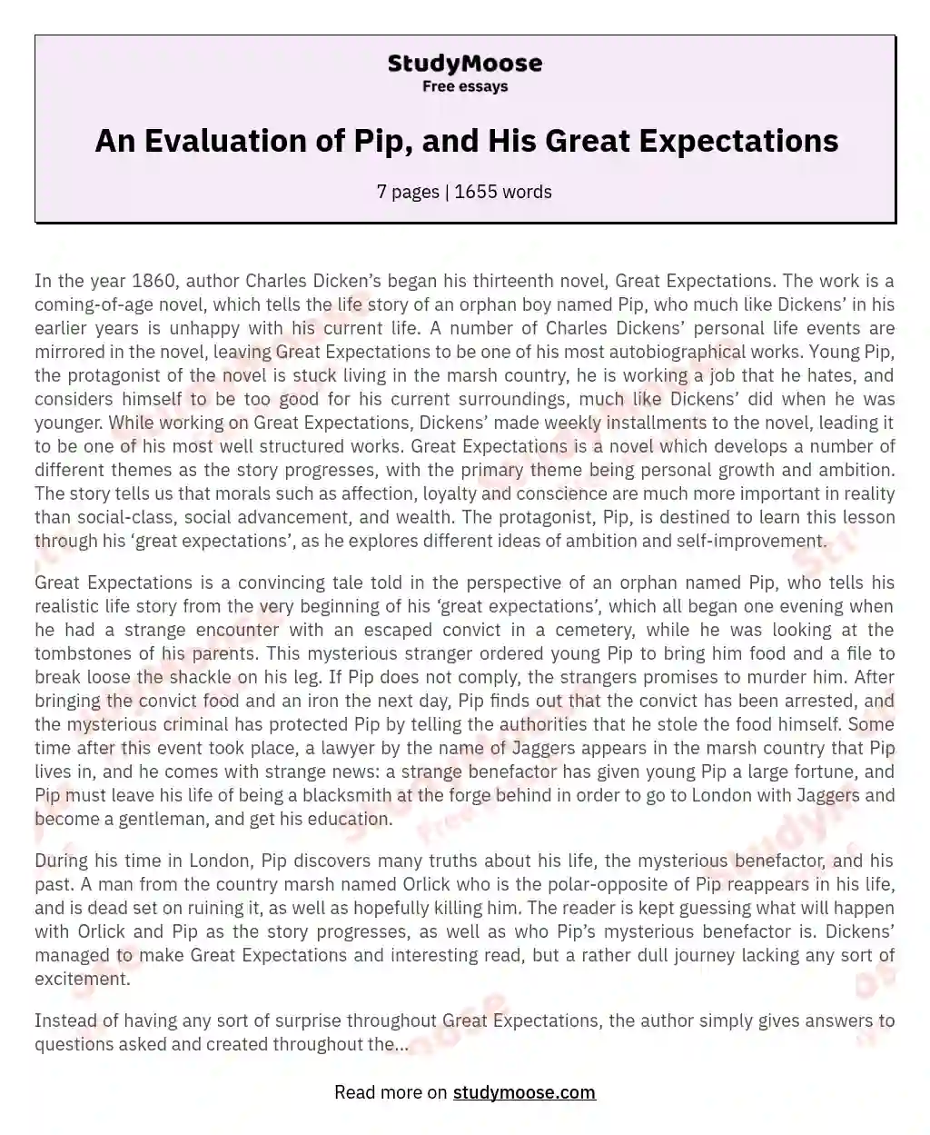 An Evaluation of Pip, and His Great Expectations