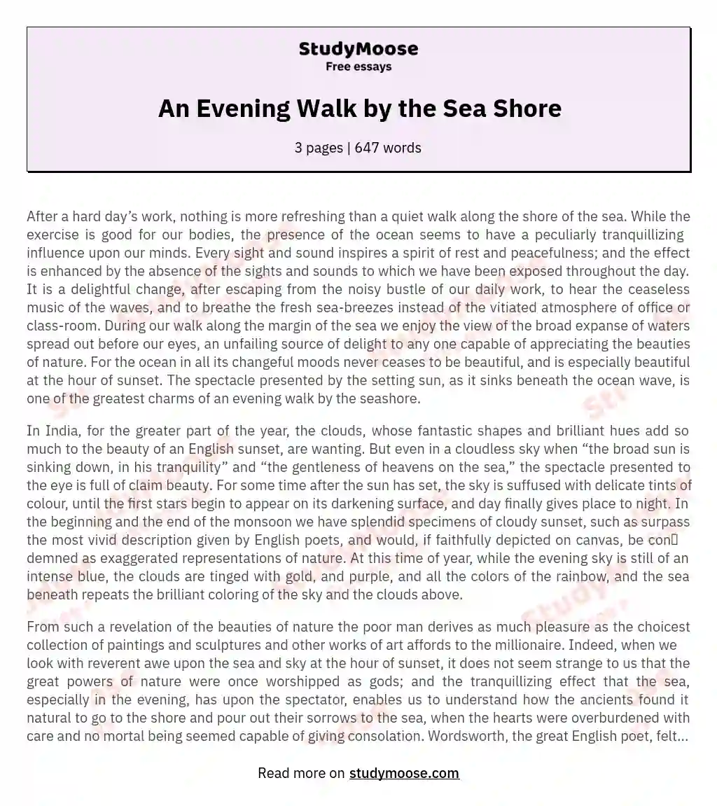 An Evening Walk by the Sea Shore essay