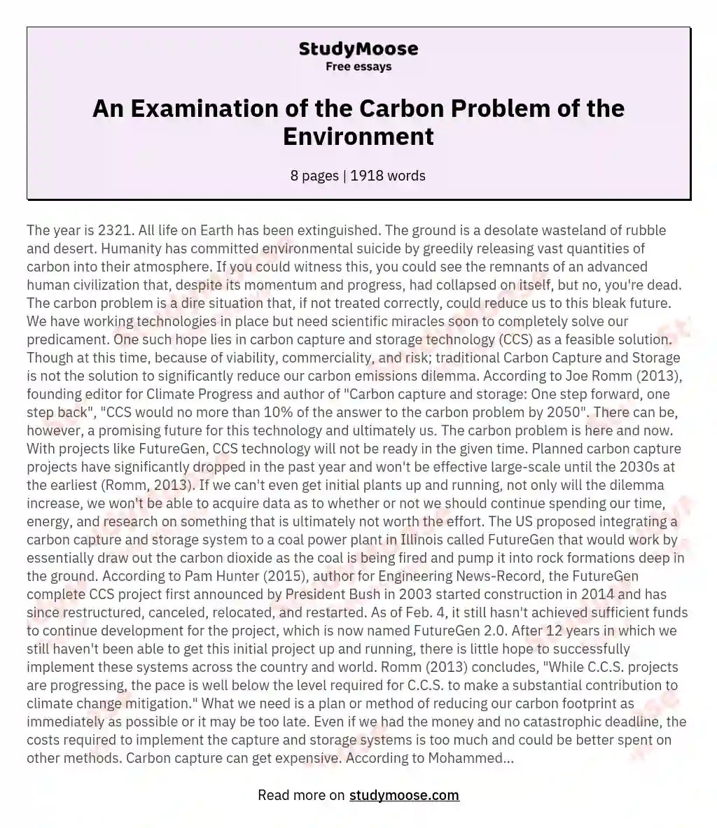 An Examination of the Carbon Problem of the Environment essay