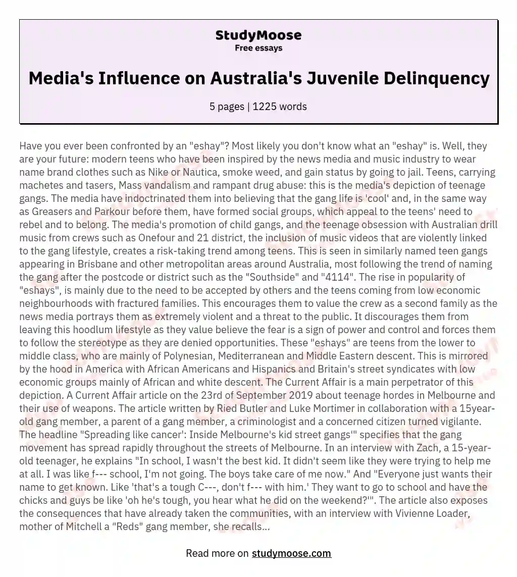 Media's Influence on Australia's Juvenile Delinquency essay