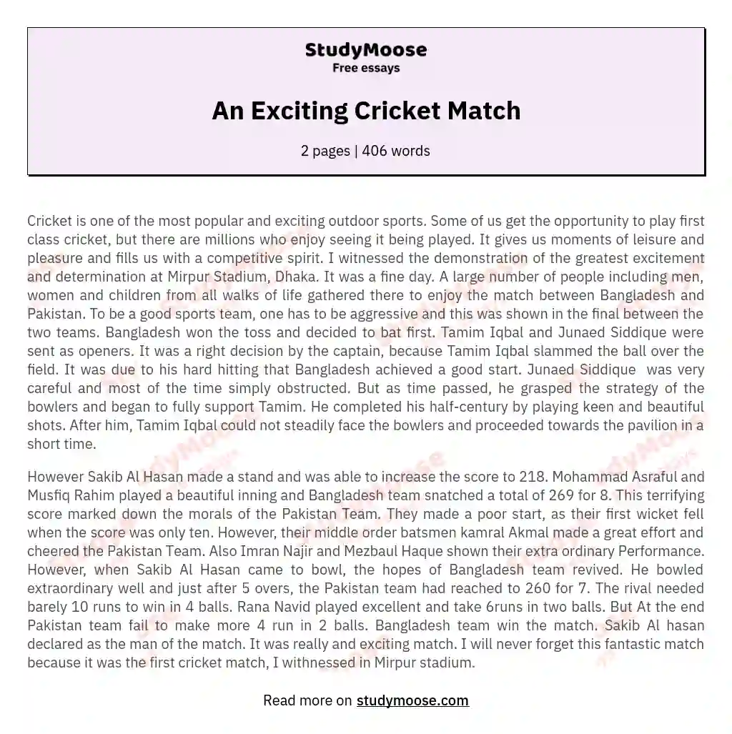 An Exciting Cricket Match essay