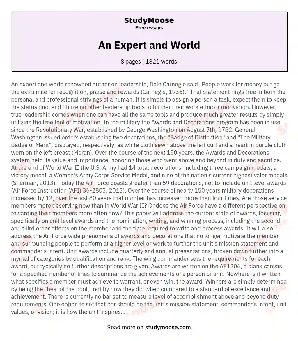 An Expert and World essay