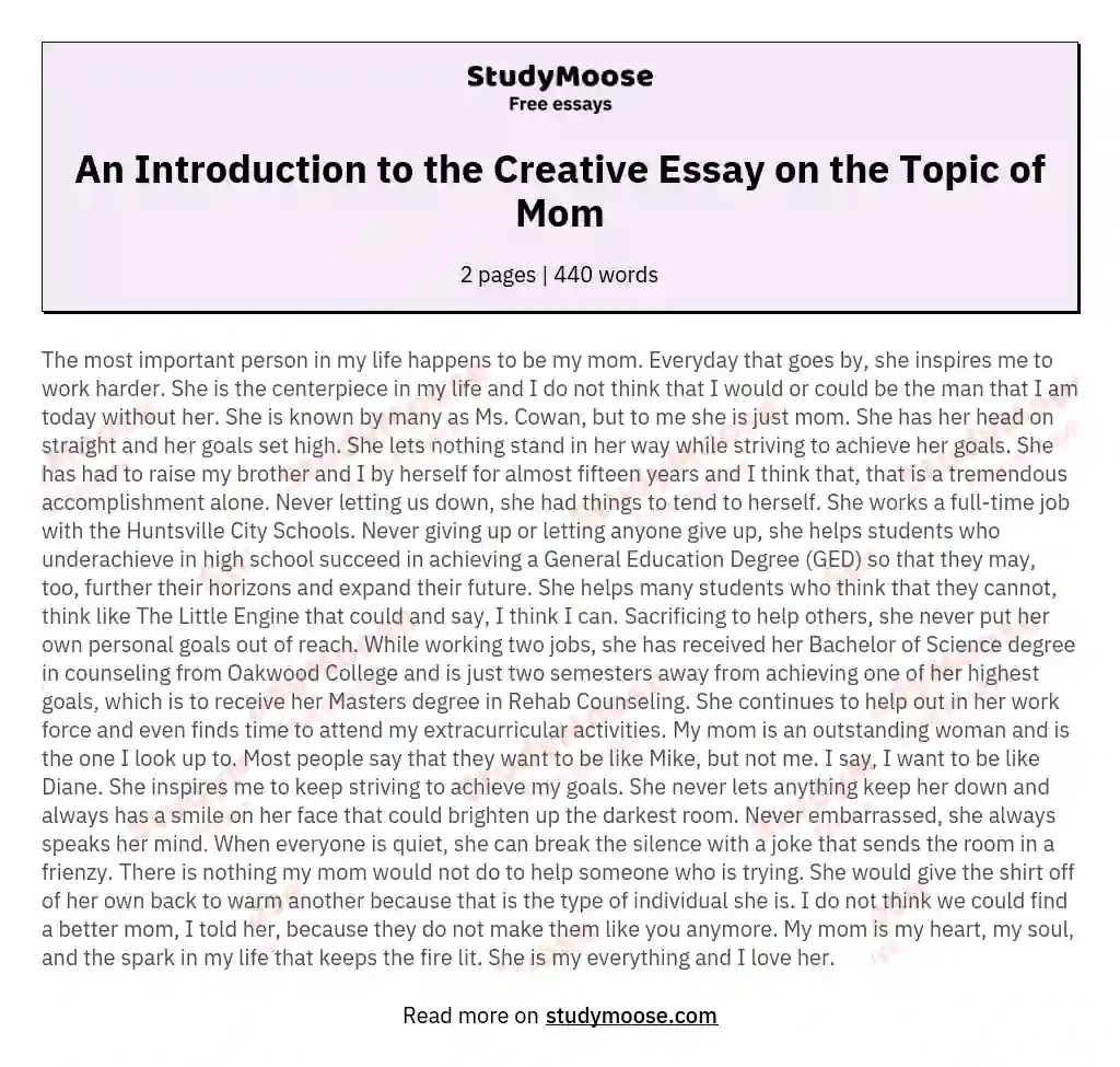 An Introduction to the Creative Essay on the Topic of Mom essay