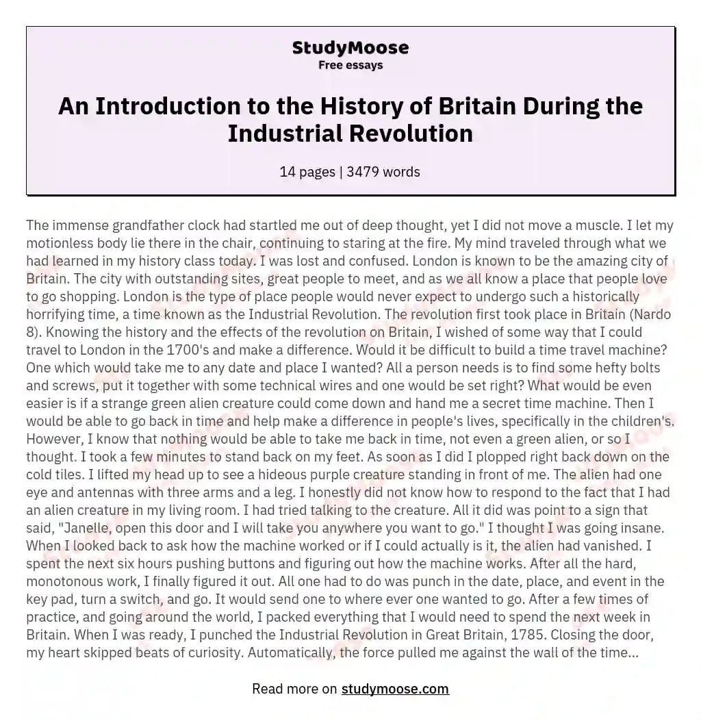 Time Traveling to the Industrial Revolution: A Journey to Change History essay