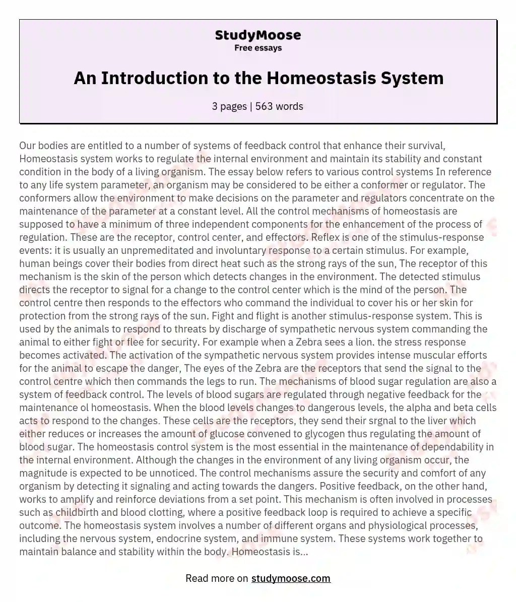 An Introduction to the Homeostasis System essay