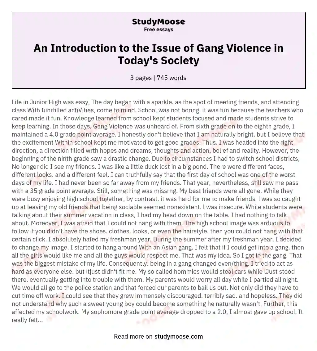 An Introduction to the Issue of Gang Violence in Today's Society essay